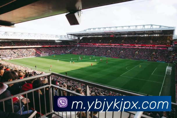 国际认证